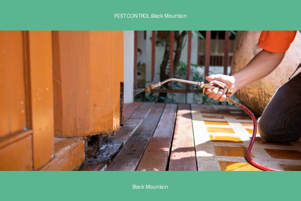 PEST CONTROL Black Mountain